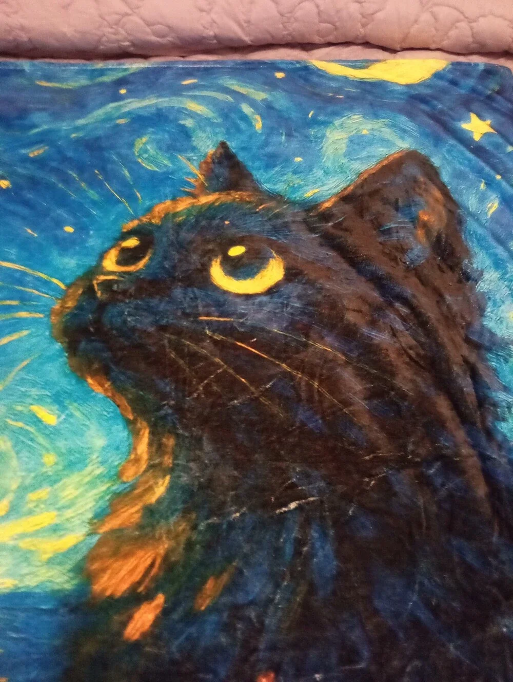 New, Cat Blanket